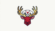 Vegas Moose Casino. 4
